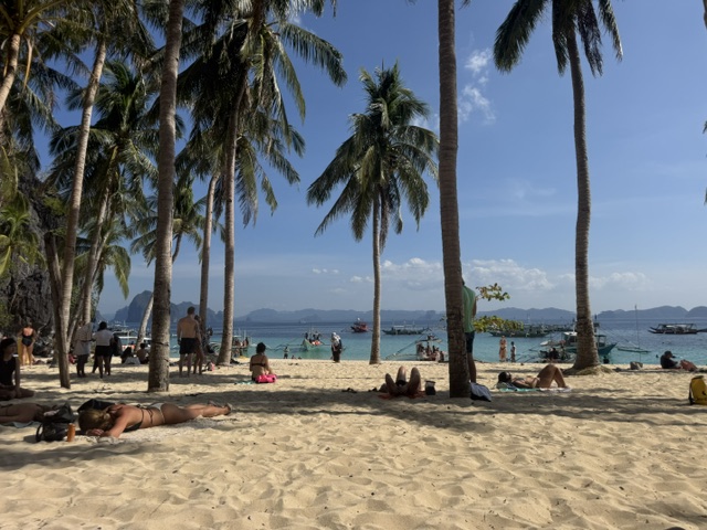Palm trees along a sandy beach with the water and distant hills beyond